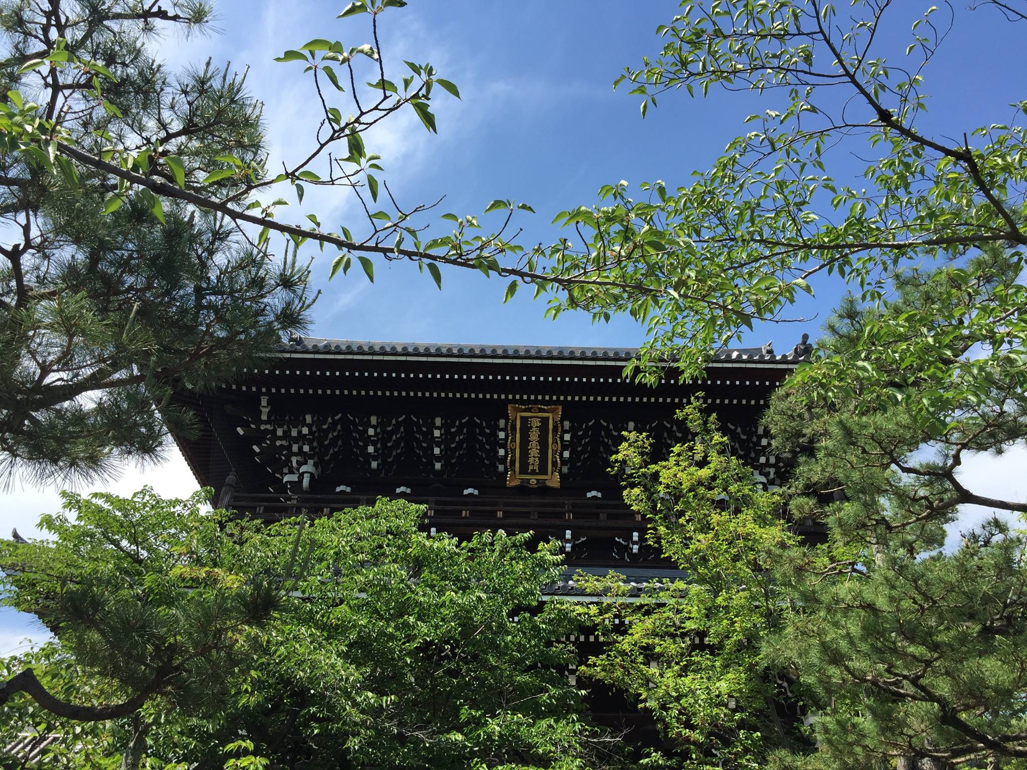 初次遇見真實的寺院－京都金戒光明寺